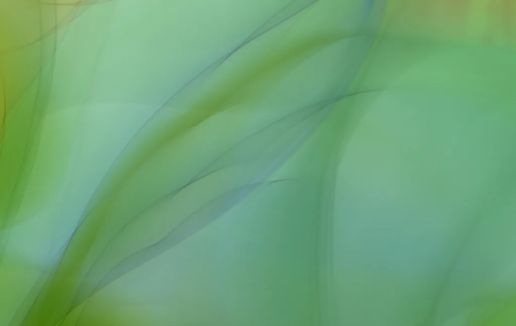 Actively managed funds